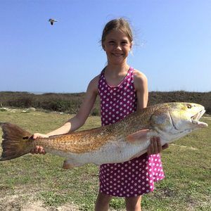 Meet your Posher, Vaughn-dana